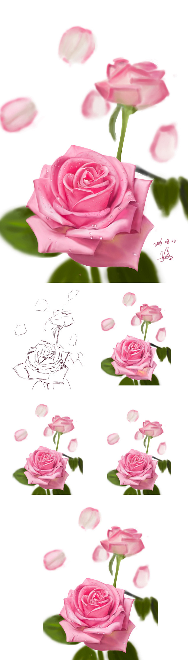 手绘玫瑰花