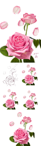 手绘玫瑰花