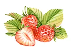 俄罗斯艺术家Natalia Tyulkina的甜美风格水彩壁纸集——共收录120 张图片。其中水彩美食等58张、壁纸60张、平铺效果图2张。专辑前半部分为单图，后半部分为壁纸。画家用单个元素构图成壁纸，无论单图还是壁纸都十分赏心悦目，适合网站做无缝背景平铺。（画家主页：http://tyulkina.com/）