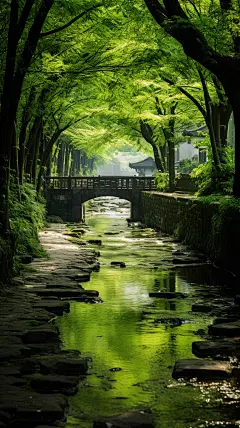 小桥流水