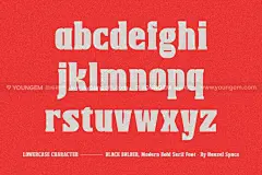 Balck Bolder复古时尚品牌logo电影海报标题粗体衬线英文字体包下载_颜格视觉