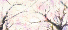 茶禾采集到GIF