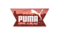 Puma Social Club Jozi - Web Design on Web Design Served