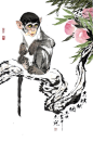 猴年画猴/巽俠