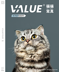 亲爱的喜子采集到猫&狗