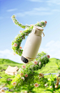 webp (12)