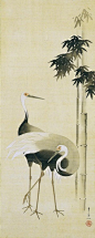 Suzuki Kiitsu（鈴木其一 Japanese, 1796-1858）    Cranes beside bamboo  竹鶴図