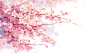 来自相册