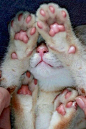 来自相册
