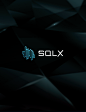 LOGO | SQLX : This recent project was an interesting one, as I had to research and understand many aspects of the seismic world and what all is involved with sound frequency and data recordings. This symbol design immediately resonates with the audience, 