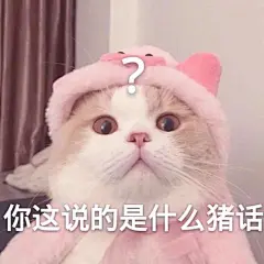 你这说的是什么猪话(猫咪问号表情包)_猫咪_猪话_问号_什么表情