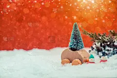 圣诞快乐，恭贺新禧，佳节如意。装饰在雪地上