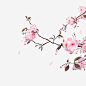 清新小花卡通插画1