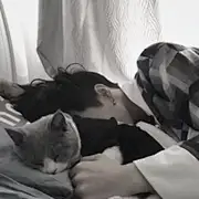 GG猪Zzzz