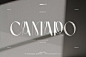 Camaro时尚优雅高级轻奢花体字品牌logo海报杂志封面标题英文字体图片