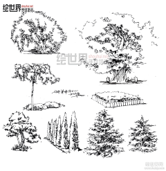 CheeTsai采集到植物 园林 线稿
