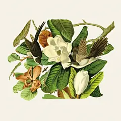 手绘插画 美式花鸟装饰画 小清新无框画芯 临摹喷绘设计参考C277-淘宝网