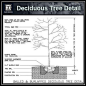 Free CAD Details-Deciduous Tree Detail