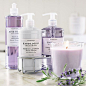 Williams-Sonoma Essential Oils Collection, French Lavender@北坤人素材