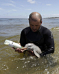 Insanely Cute Pictures Of A Man Taking Care Of An Orphaned Baby Dolph…