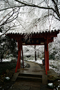 【  深山古寺雪纷纷 …  】 ​​​​