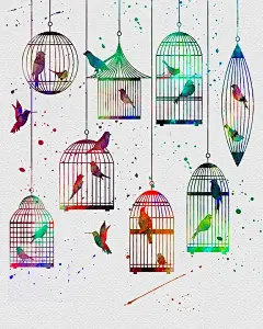 Birds in Cages