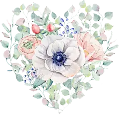 水彩--银莲花 - 高清图片，堆糖，美图壁纸兴趣社区