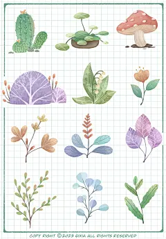 植物篇3
