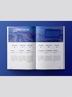 Cherie_M采集到VI —  Brochure