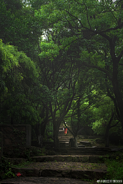 荣一1采集到美丽风景