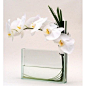 Premium white phalaenopsis orchids and graceful grass loops in a modern clear glass rectangle. This white orchid arrangement has a versatile design that works well in architectural offices and homes. It is one of our most popular flower arrangements.
