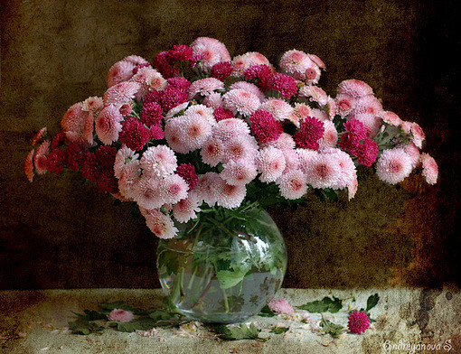 Svetlana Andriyanov静...