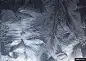 冰霜纹理背景