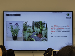 o萌萌o采集到冬季植物