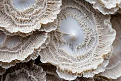 白色唯美大理石石头纹理素材背景