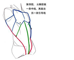 矛鱼采集到人体/体位