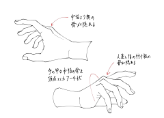 利休白茶采集到手