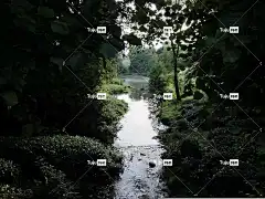 牛顿公园 英国 浴 巴斯温泉大学 自然 公园 水 黑色的水