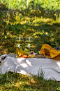 在葡萄园里用白葡萄酒野餐。两杯白葡萄酒，奶酪，面包，葡萄，浆果，甜瓜。