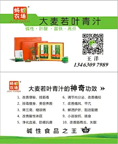 蚂蚁农场王洋名片