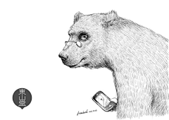 尼尼微1982采集到三只熊