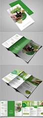 绿色环保植物三折页设计-众图网
