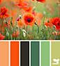 Design Seeds® | find your palette