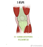 速写膝盖经常画的跟胡萝卜一样，是因为你对结构不够了解。 ​​​​