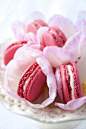 看甜点长姿势：pink macarons with lychee