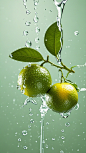 青桔-新鲜-水果-摄影-水珠-流体-美图-水滴 (8)