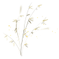 手绘水彩芦苇丛植物透明背景免抠PNG图案 装饰PS设计合成素材 (21)