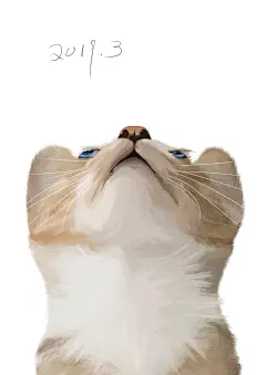 手绘仰视的猫