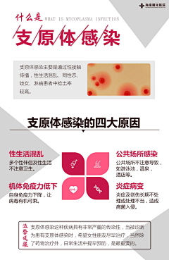 夏末、独奏采集到专家人物介绍、讲课宣传
