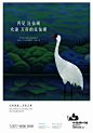 知识星球